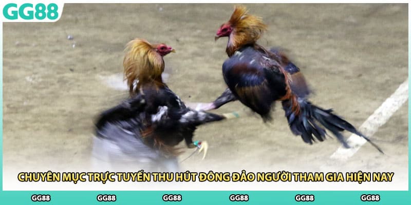 Chuyên mục trực tuyến thu hút đông đảo người tham gia hiện nay