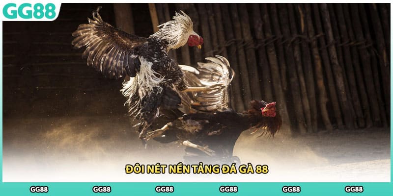 Đôi nét nền tảng đá gà 88