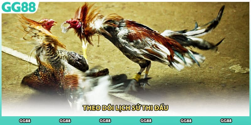 Theo dõi lịch sử thi đấu