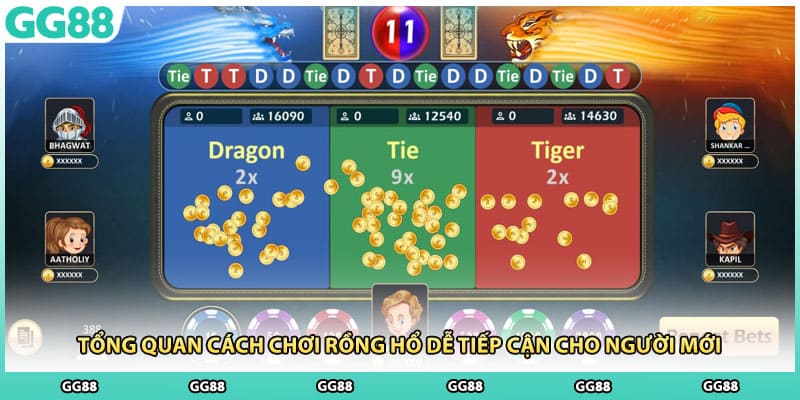 Tổng quan cách chơi rồng hổ dễ tiếp cận cho người mới