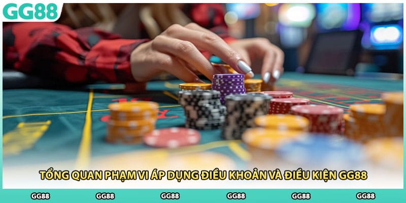 Tổng quan phạm vi áp dụng điều khoản và điều kiện GG28